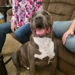 Meet your Posher, Lynette